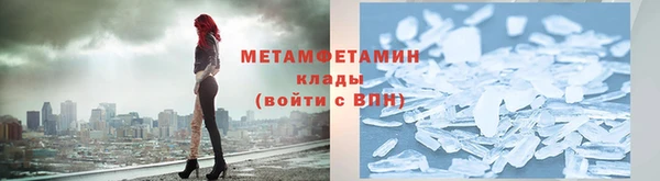 сатива Новодвинск