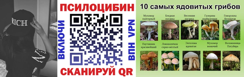 omg сайт  как найти   Лебедянь  Галлюциногенные грибы прущие грибы 
